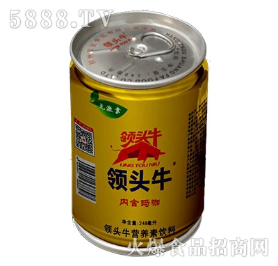 I(lng)^ţI(yng)B(yng)245ml