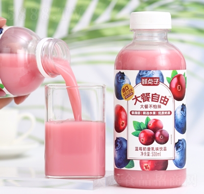 rc(din)Ӵ{(ln)ݮζƷ500ml