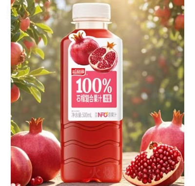 Դ100%ʯͺϹ֭500ml