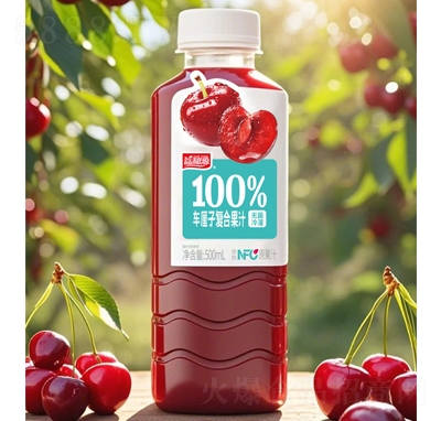 Դ100%܇ӏͺϹ֭500ml