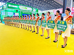 2023ǾƕʳƷW٬F(xin)xͣ