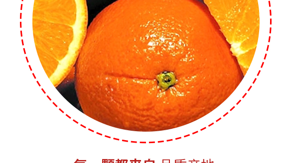 w~(y)Ʒ޹˾--Ӯa(chn)Ʒ(hu)(c)09_08