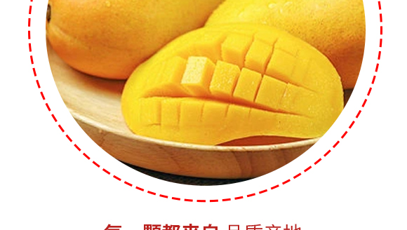 GɫƷ޹˾-âa(chn)Ʒ(hu)(c)1230_08